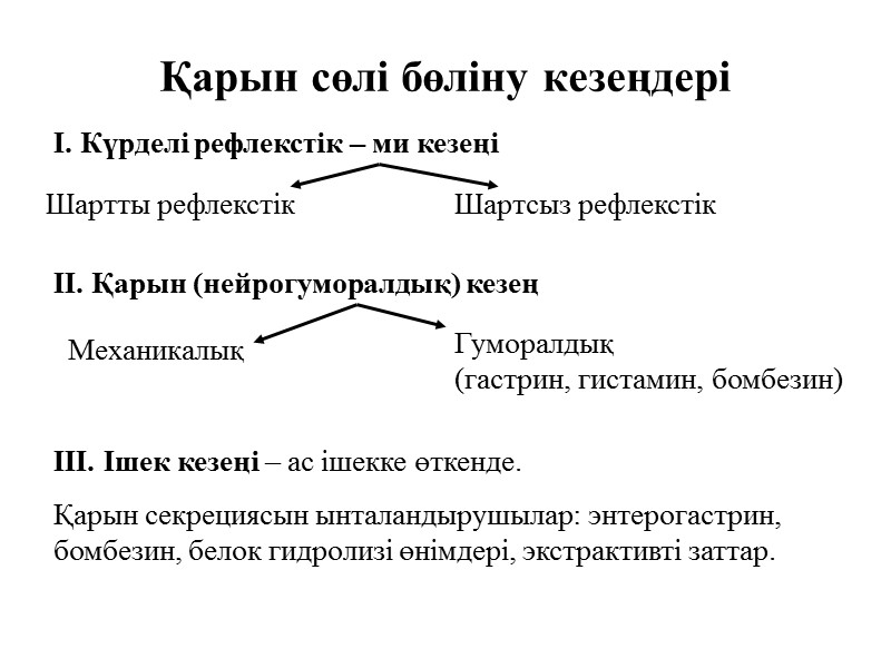 Қарын сөлі бөліну кезеңдері I. Күрделі рефлекстік – ми кезеңі III. Ішек кезеңі –